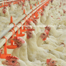 High Quality Poultry Equipment Nipple Drinking System for Chicken